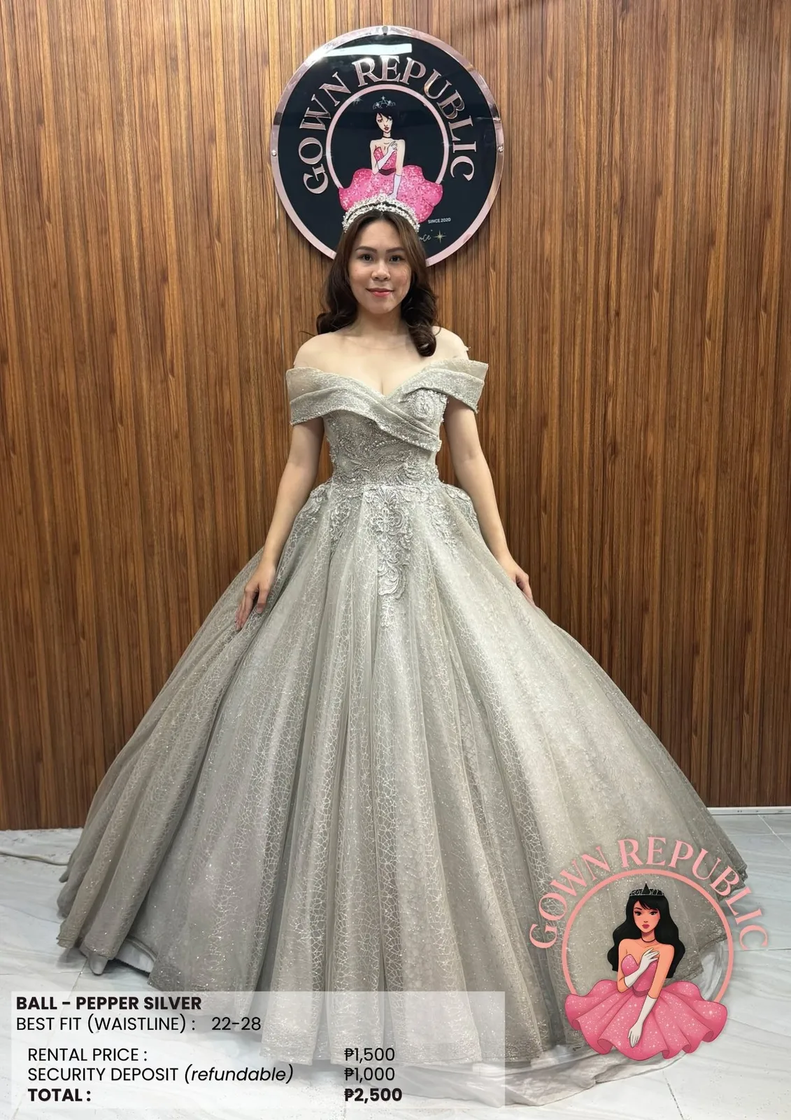 Ball Gowns: Silver / Gray 266